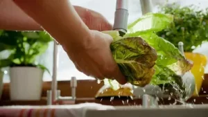 Cyclosporiasis outbreak: California-based Taylor Farms to recall ingredients linked