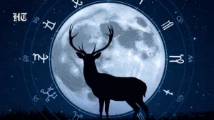 July Buck Moon 2026: What each zodiac sign should release under the Aquarius Full