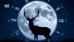 July Buck Moon 2026: This Full Moon arrives during Leo season. Here's why it stands