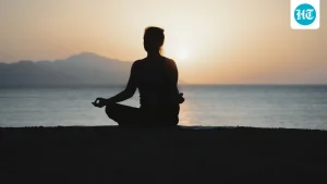 What is the secret of true meditation? Swami Mukundananda shares why devotion