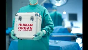 AIIMS on course to roll out cadaveric transplants