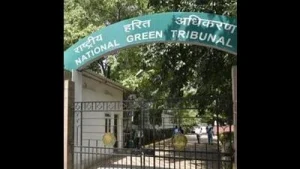 NGT tells DDA, IF&C to resolve Yamuna floodplain demarcation dispute