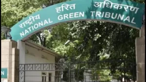 'Safeguards in place': Haryana defends sand mining project before NGT