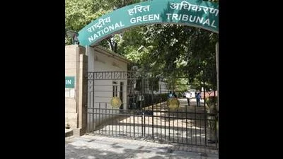 Sirhind Canal lining project: Forest dept recovered ₹10.9L fine for illegal tree