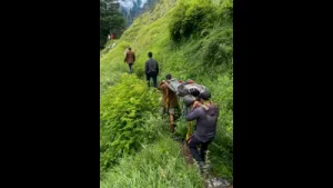 Critically ill shepherd rescued from remote Bara Bhangal after 36-hour operation