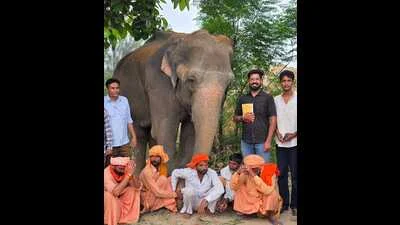Ailing elephant rescued from forced labour in Barnala, 4 booked