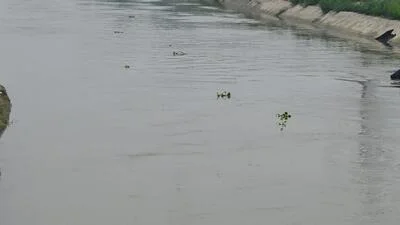 Farmers protest in Hisar, seek 2 weeks of canal water supply per month