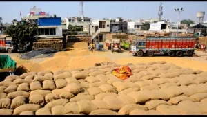 Foodgrain storage crisis: Mann seeks urgent meeting with Union minister