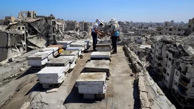 Israeli strikes kill three in Gaza as mediators continue US-brokered peace talks