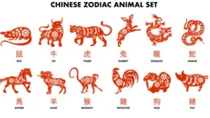 Chinese Horoscope Today, July 31, 2026: Big decisions can wait until the signal is
