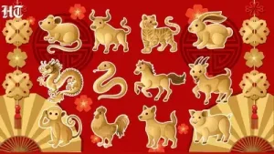 Chinese Horoscope Today, July 23, 2026: These signs may experience a day of stable