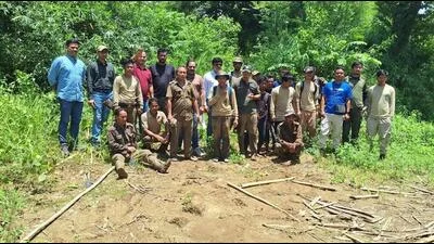 Missing forest team near Assam-Nagaland border traced safe after 2 days: Official