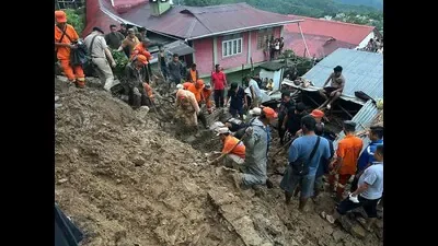 2 brothers die in a landslide in Nagaland's Mokokchung town: Police