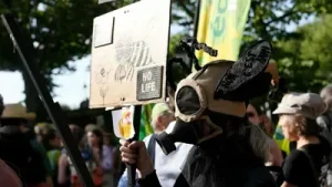 French lawmakers back farm bill - Why it has sparked uproar over bee-harming