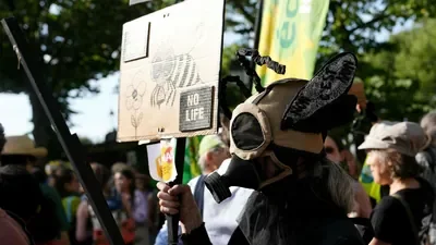 French lawmakers back farm bill - Why it has sparked uproar over bee-harming