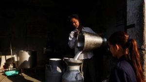 Maharashtra's daily milk collection drops by 750k litres after FDA crackdown