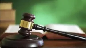 Bank can recover loan dues from guarantor after principal borrower defaults: HC