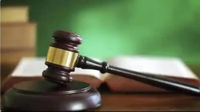 Bank can recover loan dues from guarantor after principal borrower defaults: HC