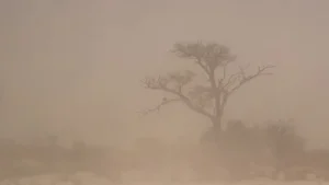 Phoenix dust storm today: Haboob 'round 2' hits Arizona city; scary visuals emerge -