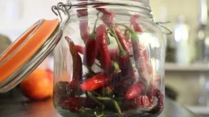 Mexican jalapenos in focus as 340+ fall sick in US due to Salmonella outbreak