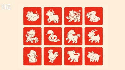 Chinese Horoscope, August 7, 2026: Nothing needs to be rushed in love, let trust and