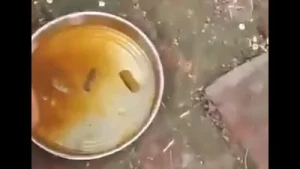 Watery midday meal: FIR lodged against Sitapur school principal, cook after video