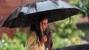 'Freedom fighters took bullets, you fear eggs?': SC refuses Mahua Moitra's plea