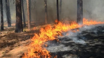 Santa Clarita Tasha Fire update: Huge brush fire in Los Angeles County; check