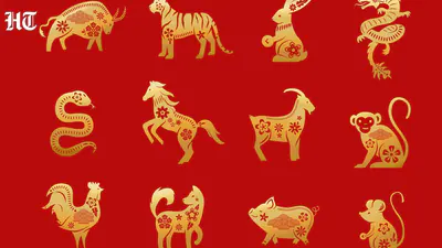 Today’s Chinese zodiac outlook favors steady choices, patience, and practical routines for all signs