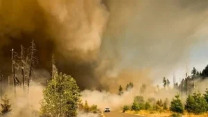 Reno Moose Ridge Fire: Large vegetation fire in Washoe County; latest update as