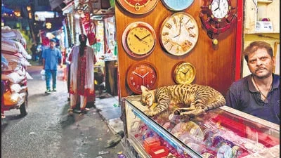 Delhiwale: Timekeeper's cat
