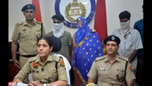 Panchkula police identify 1,800 senior citizens living alone after Sec 21 murder