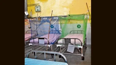 15 dengue, 44 malaria cases reported in Ludhiana
