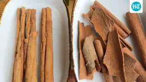 90% of us use 'fake cinnamon': Ahmedabad nutritionist Kiran Kukreja warns as she