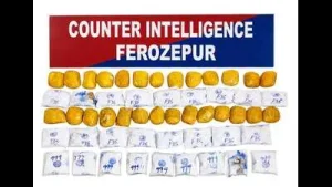 Two held with 30 kg heroin in Ferozepur