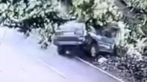 Faridabad: Man dies, five critical after Scorpio hits tree on Atali road