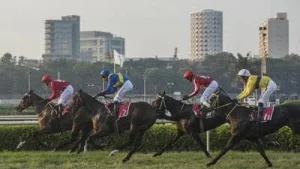 RWITC gets fresh licence for horse-racing with tighter oversight, caps