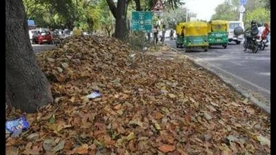 Lucknow plans first horticulture waste plant to process up to 300 tonnes daily