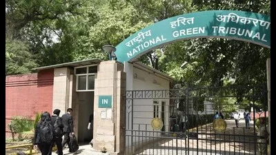 Environmental compensation: Recovering ₹1 cr from Sirhind civic body, PPCB tells NGT