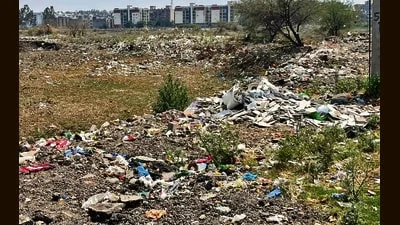 Mohali: Peer Muchalla residents flag trash dumps, demand civic solutions