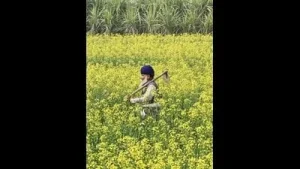 Beyond the crop: Why value addition is key to agri growth