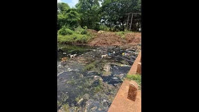 3 Bidar factories to be shut amid water pollution charges