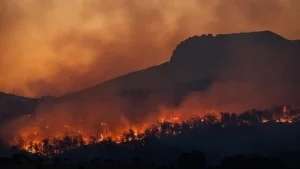 Double Spring Fire near Gardnerville: Latest update on blaze in Nevada; check map,