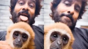 Chiyaan Vikram's Lar Gibbon video sparks wildlife probe; actor deletes post amid