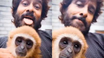 Chiyaan Vikram's Lar Gibbon video sparks wildlife probe; actor deletes post amid