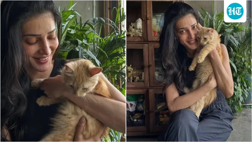 Shruti Haasan puts beloved Persian cat up for adoption after severe allergies: 'One