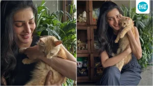 Shruti Haasan puts beloved Persian cat up for adoption after severe allergies: 'One