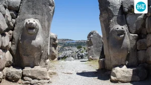 Why is the Lion's Gate Portal linked to Sirius? The history behind the popular