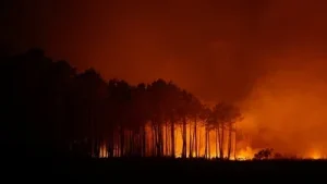 'Sadly our apartment…': Residents flee Spokane County wildfire as devastating videos