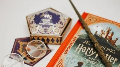 Harry Potter fans force ₹5,500 crore power cable to change route over Dobby shrine